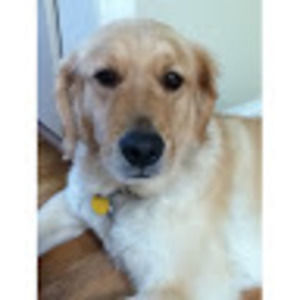 Meet your Posher, Maddie